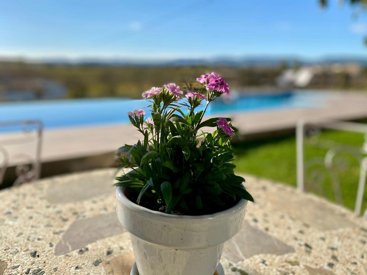 Bed & Breakfast Wine & Cooking Penedes